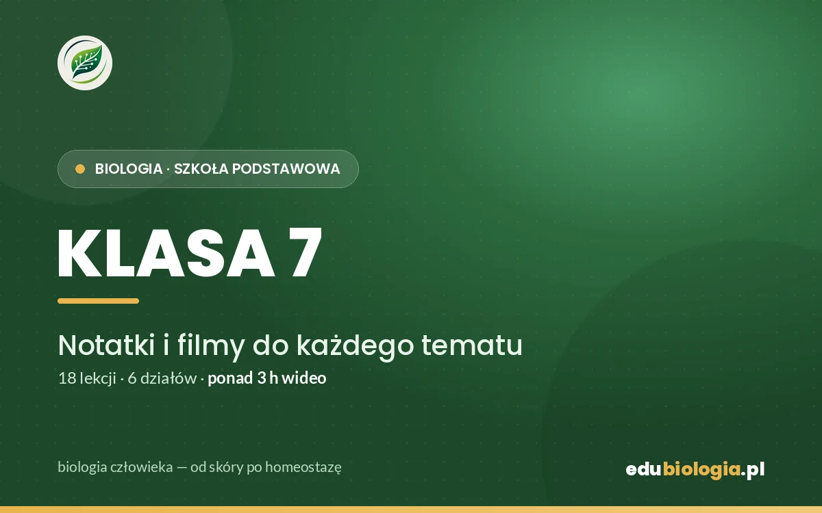 EduBiologia 7 — biologia człowieka